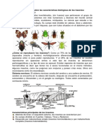 Inteligencias Multiples