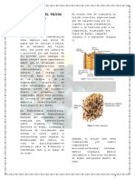 Adaptacion Del Tejido Oseo