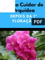 Como Cuidar de Orquídeas Depois Da Primeira Floração