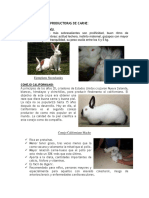 327363015-Razas-de-Conejos-Productoras-de-Carne.docx