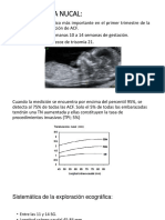 Traslucencia Nucal Point