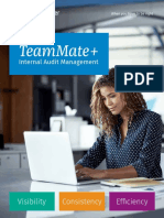 TeamMate+ Audit Brochure
