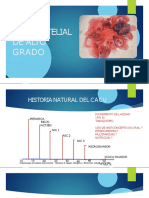 Lesinintraepitelialdealtogrado 140318210407 Phpapp02