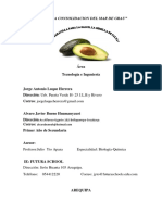 Proyecto Semilla de Palta