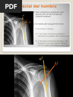 Anatomía y Radiología del Húmero | PDF | Hombro | Anatomía