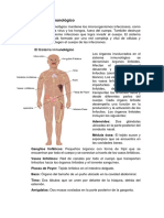 Sistema Inmunológico