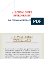 e Strongyloides