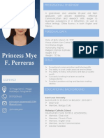 Princess Mye F. Perreras: Professional Overview