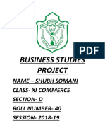 Business Studies Project