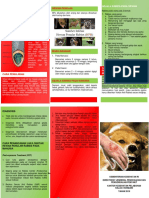 Leaflet Rabies KKP A4