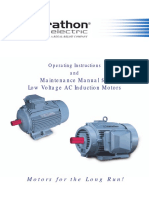LT Motor Maintenance.PDF