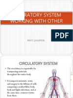 Circulatory and Respiratory System Working With Other Organ Systems