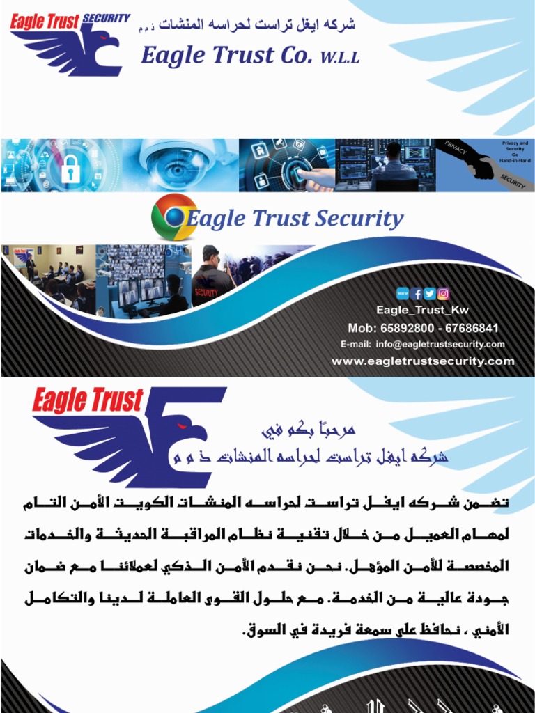 Eagle Trust Security Profile 2019 PDF | PDF