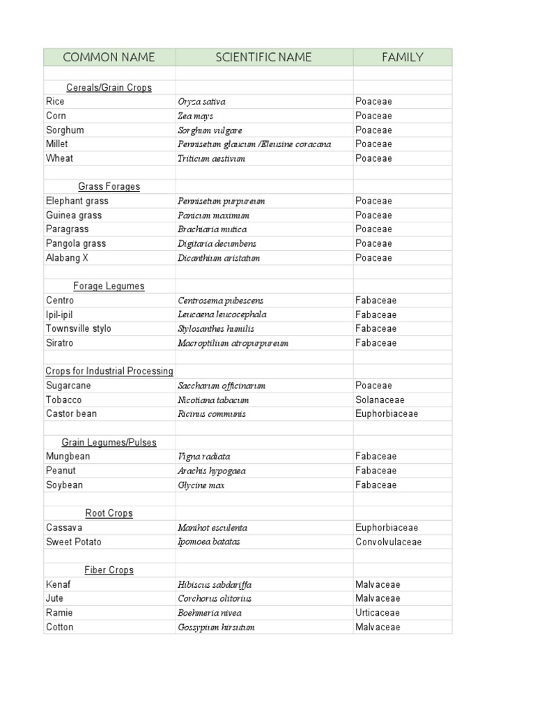 Scientific Names of Important Crops PDF Cereals Crops