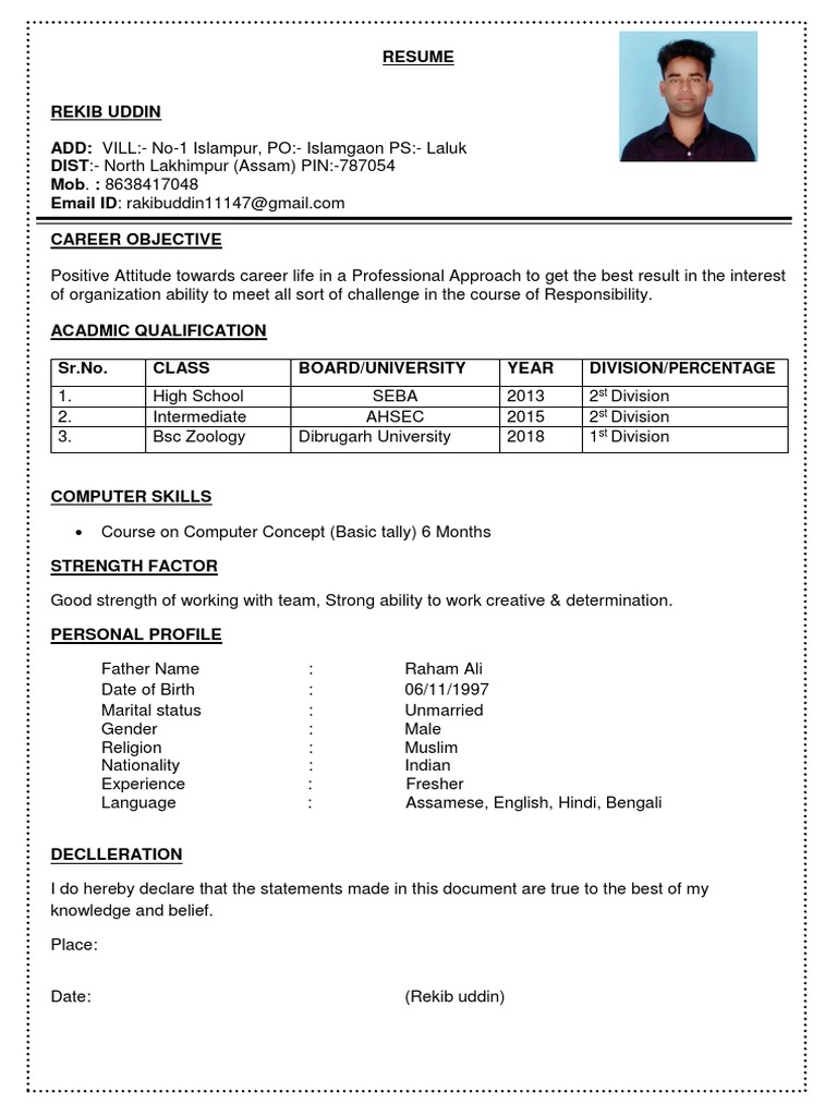 Professional Resume | PDF