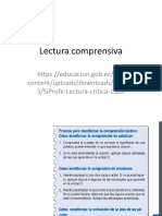 Lectura Comprensiva PDF