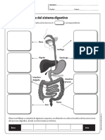 cn_cidelavida_5y6B_N2.pdf