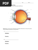 Eye Function Notes