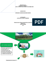 Actividad de Aprendizaje 8 Evidencia 3 Infograma Estrategia Global de Distribución