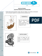 Articles-26921 Recurso Pauta PDF