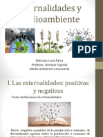 Externalidades y Medioambiente