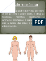 Orgaos e Sistemas