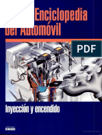 inyeccion-pdf.pdf