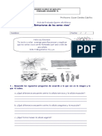 Guia-de-Celulas-5-Basico.doc