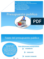 Presupuesto Publico 