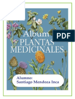 Album de Plantas Medicinales SANTI