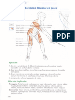 Anatomía Del Nadador 