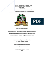 319200926-Tesis-Campo-Patujusal (1).pdf