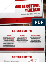 Sistemas de Control y Energía