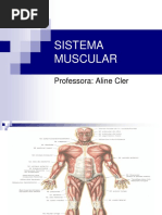 SISTEMA MUSCULAR.ppt