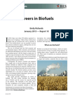 Careers in Biofuels: Emily Richards January 2013 - Report 10