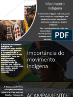 Movimento Indigena