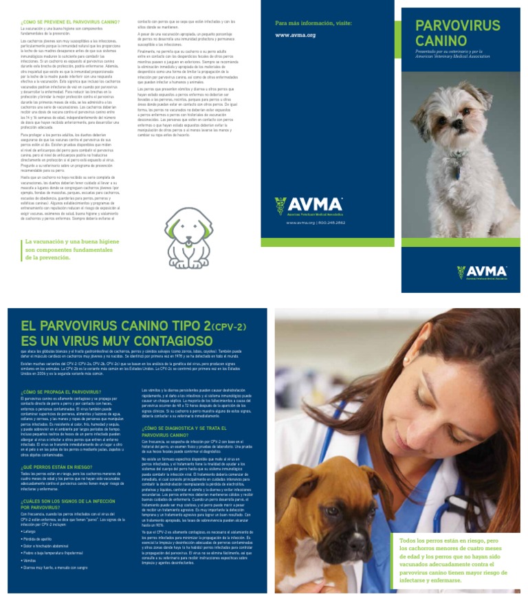 Refrescante anunciar atraer PARVOVIRUS CANINO (Espanol) | PDF | Perros | Medicina CLINICA