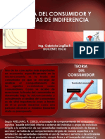 Teoría Consumidor y Curvas de Indiferencia