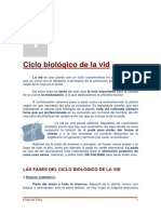 Ciclobiologico