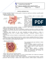 Apostila Sistema Reprodutor,gd