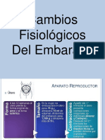 7) Cambios Fiosologicos Del Embarazo