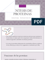 Sintesis de Proteinas