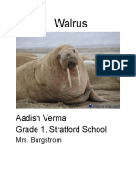 Walrus: Aadish Verma Grade 1, Stratford School