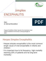 HSV Ensefalitis