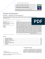 Adler, Pen. Leptospira and Leptospirosis. 2010 PDF