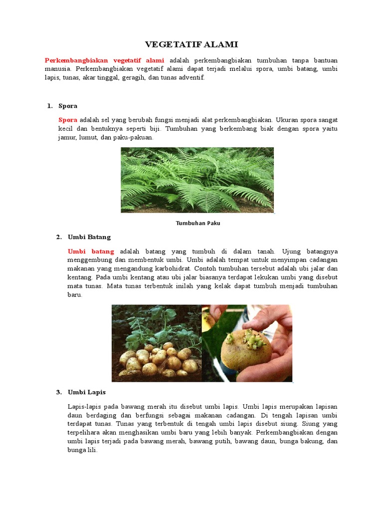 Vegetatif Alami Pdf
