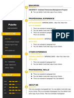 4Colorful Resume-WPS Office