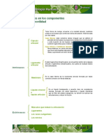 Componentes Que Permiten La Movilidad