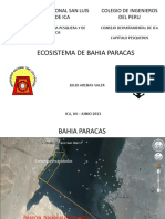 ecosistema de bahia paracas