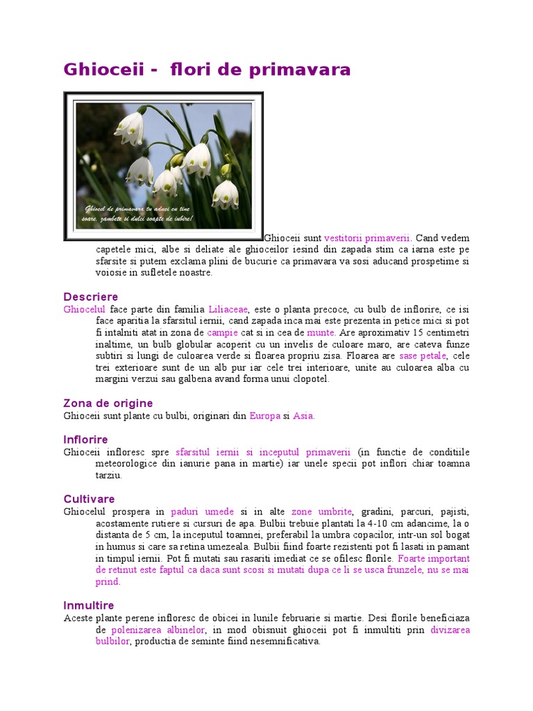 Ghioceii Doc
